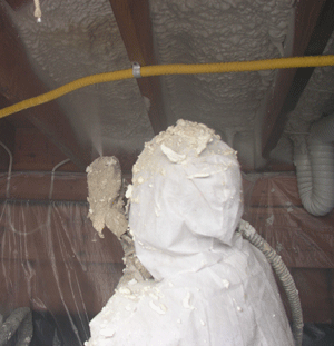  Pennsylvan crawl space insulation
